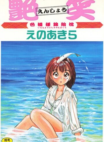 艶笑 色模様錦絵枕