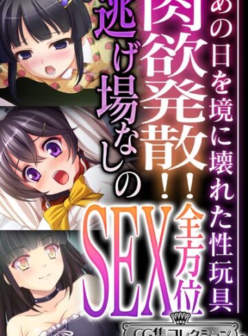 肉欲発散！！逃げ場なしの全方位SEX 〜あの日を境に壊れた性玩具〜【CG集コレクション ミニ】