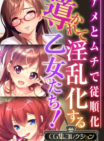導かれて淫乱化する乙女たち！〜アメとムチで従順化〜【CG集コレクションBIG】