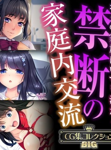 禁断の家庭内交流 〜ボクの家族はいつも汁だく〜【CG集コレクションBIG】