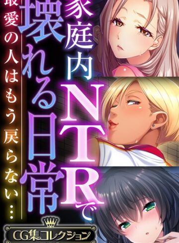 家庭内NTRで壊れる日常 〜最愛の人はもう戻らない…〜【CG集コレクションBIG】