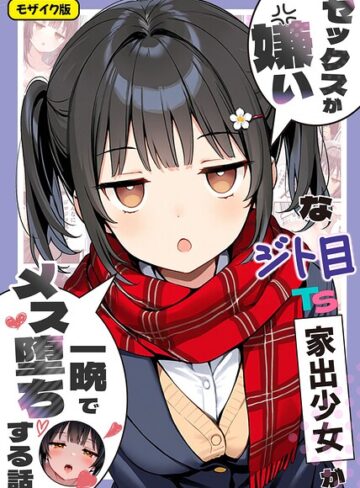 セックスが嫌いなジト目TS家出少女が一晩でメス堕ちする話 モザイク版