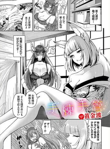 手練手管（単話）❤ファンタジー【黄金波】評価