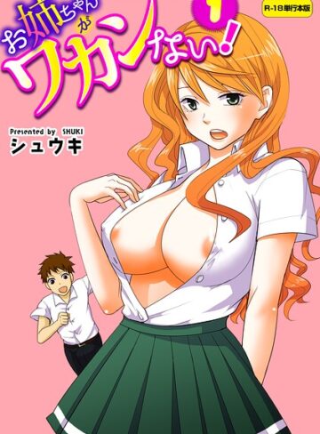 お姉ちゃんがワカンない！【R-18単行本版】❤フルカラー【シュウキ】評価